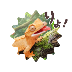 naaaako_20260501181046