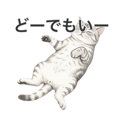 sencho