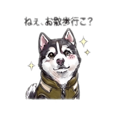 Dongurikid_20260501181959
