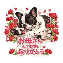 fujiyan8_20260502164157