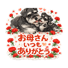 fujiyan8_20260502151437