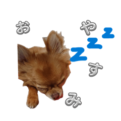 misaki_20260501182524