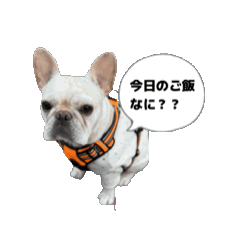 kelly_20260502175917