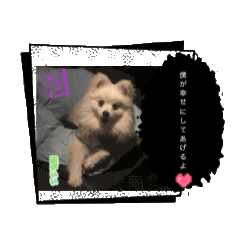 shipom_20260502231424