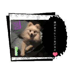 shipom_20260502223418