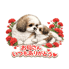 fujiyan8_20260503085427