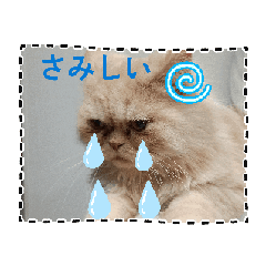 MARU MARU_20260503095029