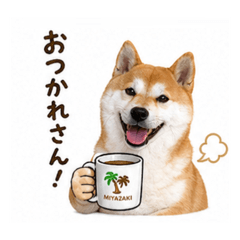 yu-suke_20260501140914