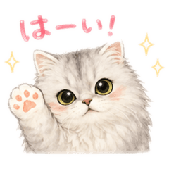 shirasu_20260501140137