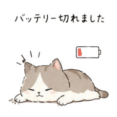 mirai_20260501141246