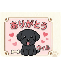 Willkundesu