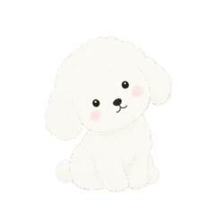 mash_20260501141902