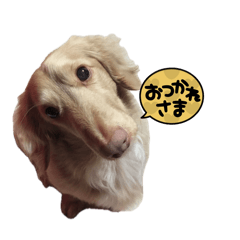 kuuta_20260501171025