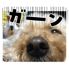 namikoron