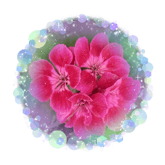 aobaizumi_20260501170423
