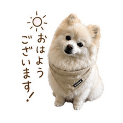 pop.ponsuke_20260501192036