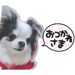 sachi_20260501192507