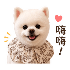 小歐利