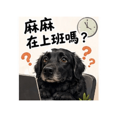 Bellaa 拔拔麻麻日常