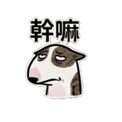 阿梗的佛系生活：尬聊也OK