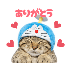 我家臭咪