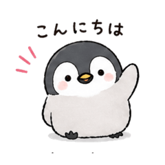 rin_20260501180106
