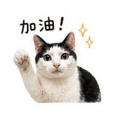 我是普普