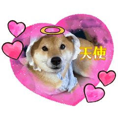 hana_20260501180300