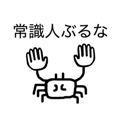 Poro_20260501181302