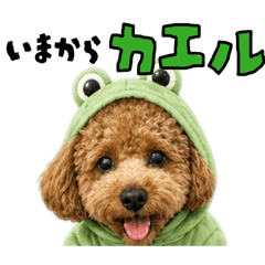 choco_20260501180745