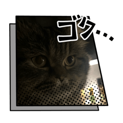 Rinepi_20260501200959