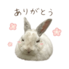 Yama_20260501200049