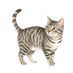 kiji_cat