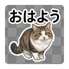 miranyannyan