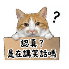阿腸腸腸