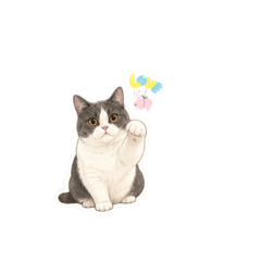 Luna萌萌