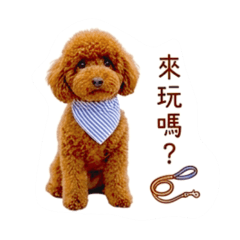 方米奇。Micky小豬豬