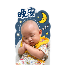 小寶寶河馬