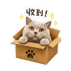 Haru_Tung