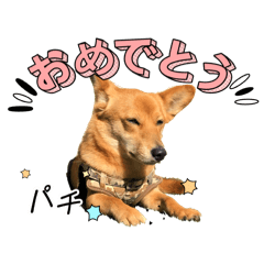 issei_20260501142354