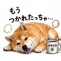 yu-suke_20260501143402