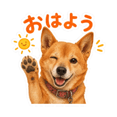 DailyNosuke