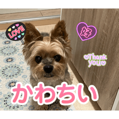 mayu_20260501185434