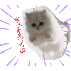 hi_20260501185147