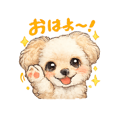 taka_20260501190550