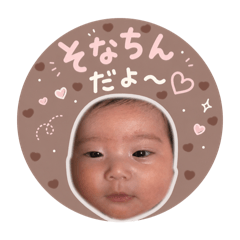 noah_20260501190701