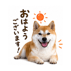 yu-suke_20260501144824