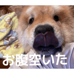 mizuka_20260501144609