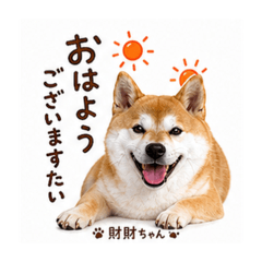 yu-suke_20260501145722