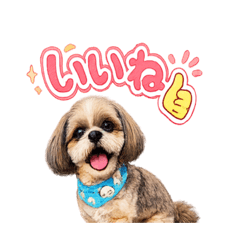 POPO_20260502092749